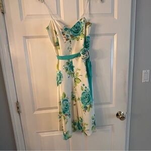 Banana Republic 100% Silk Spaghetti Strap Dress with Rose Print
